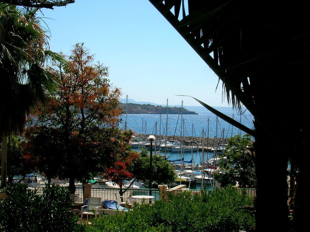 La Mimosa Guesthouse Palma de Mallorca Bagian luar foto