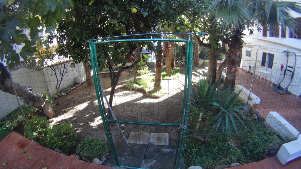 La Mimosa Guesthouse Palma de Mallorca Bagian luar foto